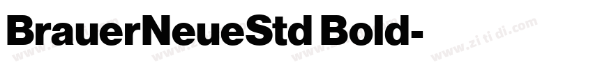 BrauerNeueStd Bold字体转换